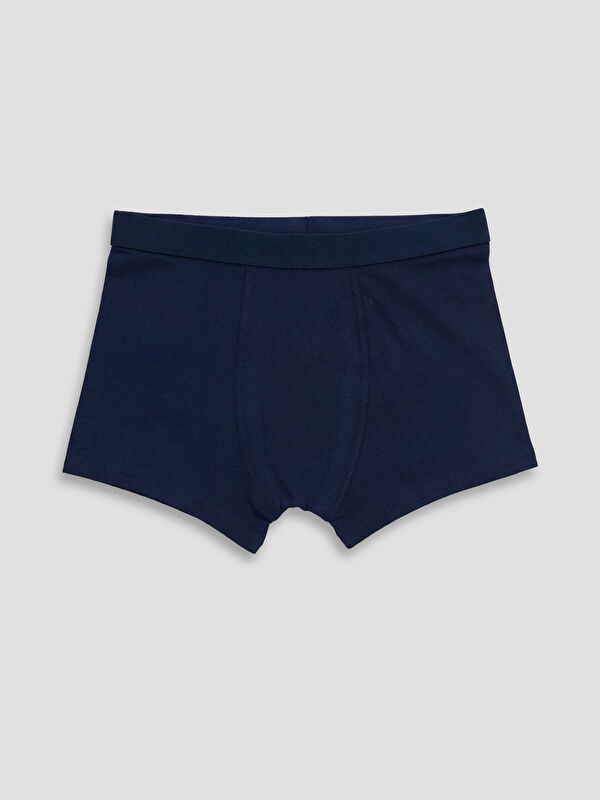 LCW Kids Erkek Çocuk Boxer