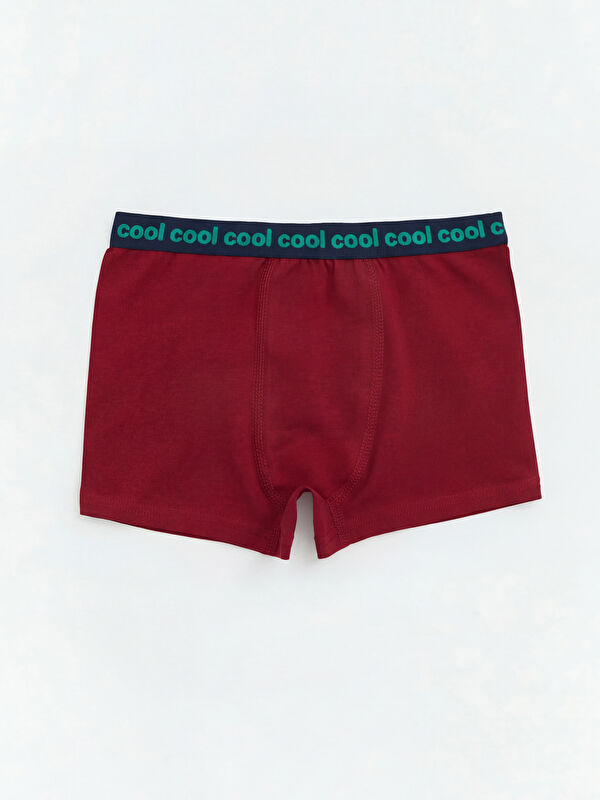 LC WAIKIKI Baskılı Erkek Çocuk Boxer