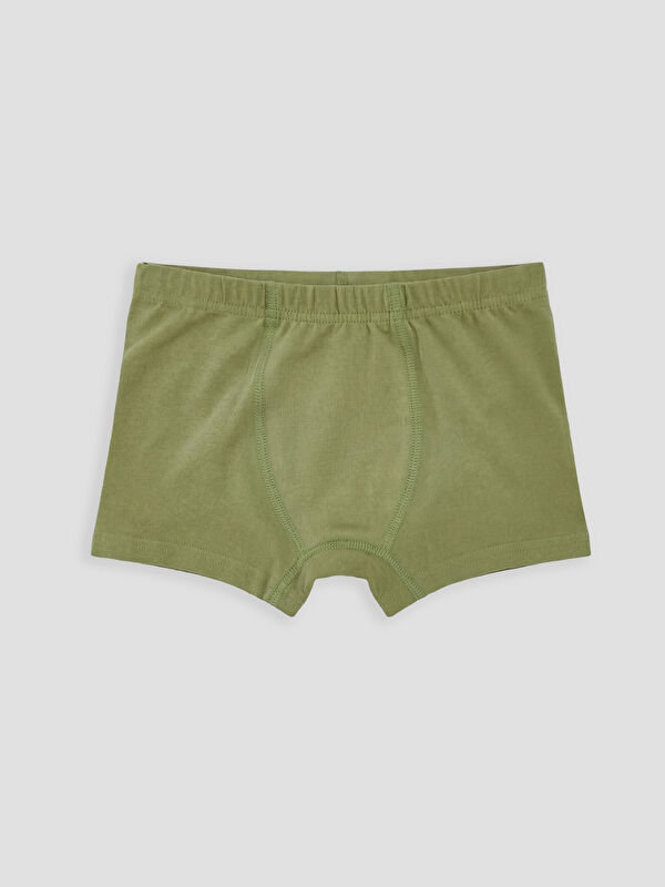 LC WAIKIKI Erkek Çocuk Boxer