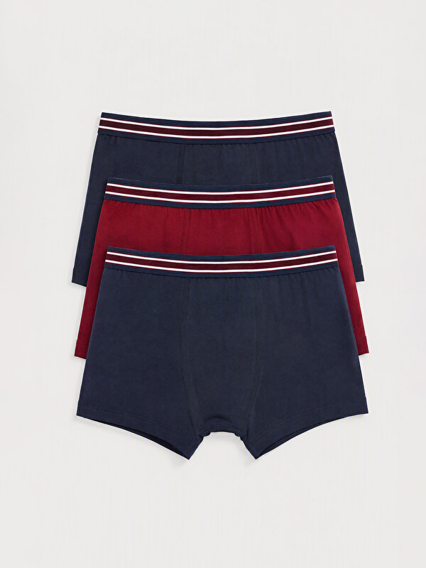 LC WAIKIKI Erkek Çocuk Boxer 3'lü