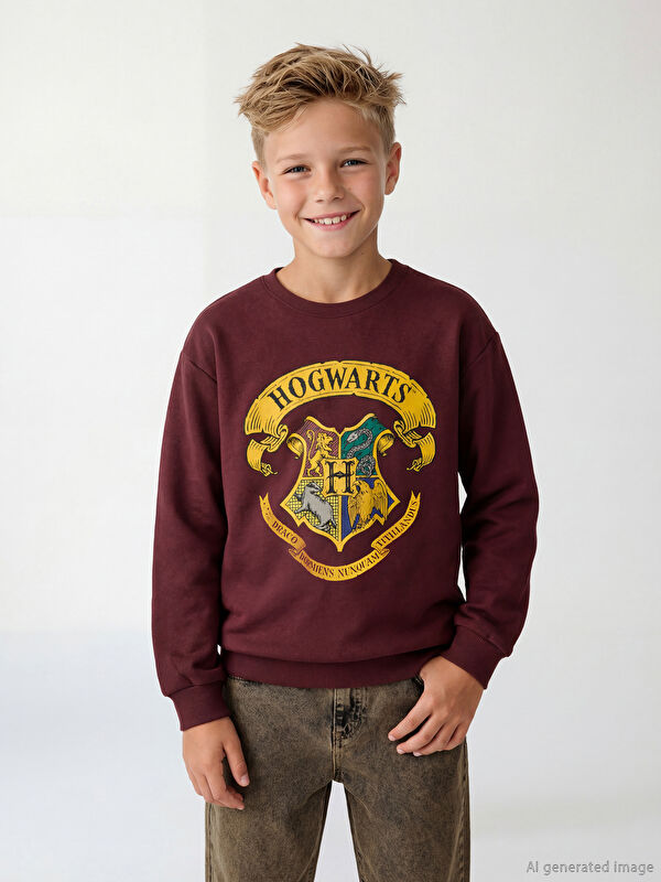 LCW Kids Erkek Çocuk Harry Potter Baskılı Sweatshirt