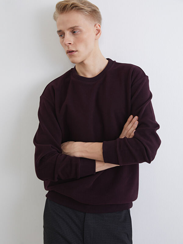 LCW Vision Bisiklet Yaka Erkek Sweatshirt