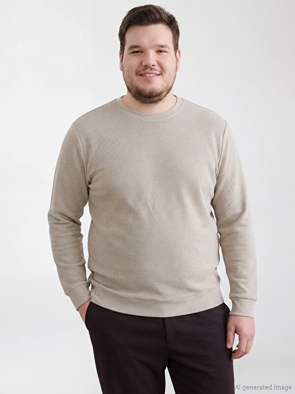 LCWAIKIKI Classic Bisiklet Yaka Erkek Sweatshirt