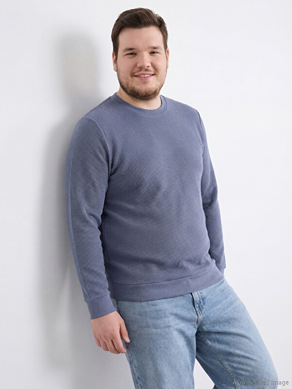 LCWAIKIKI Classic Bisiklet Yaka Erkek Sweatshirt