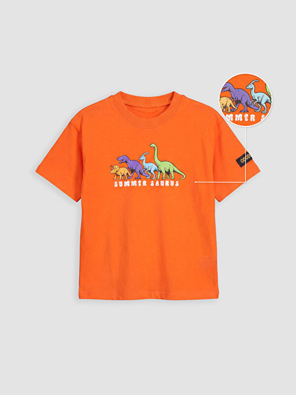 LCW Kids Crew Neck Printed Boys' T-Shirt