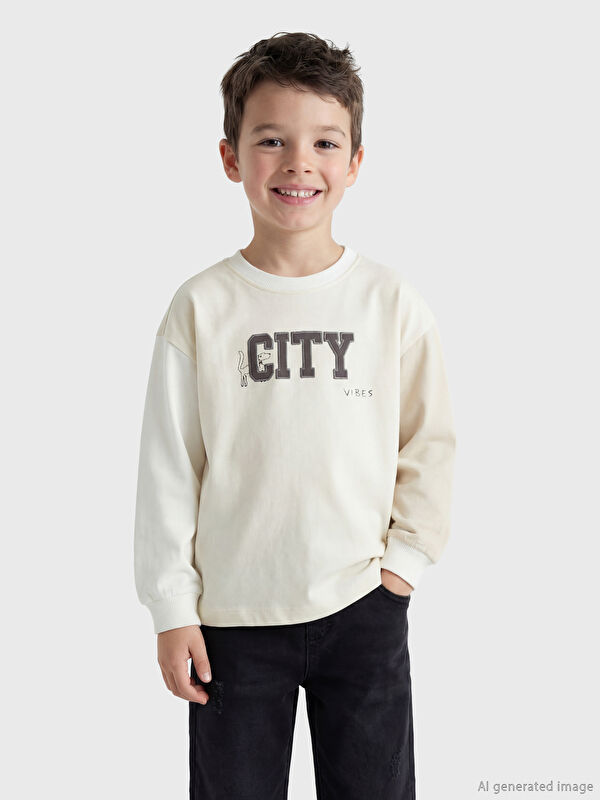 LCW Kids Bisiklet Yaka Renk Bloklu Erkek Çocuk Sweatshirt