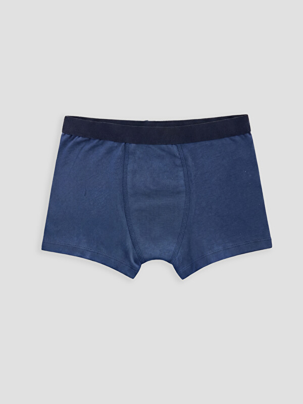 LCW Kids Erkek Çocuk Boxer