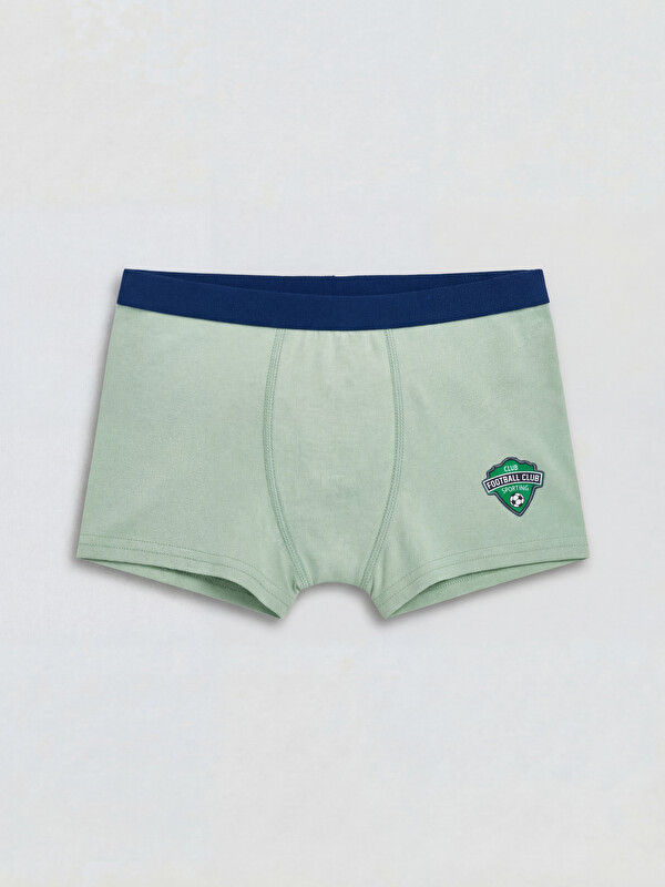 LCW Kids Desenli Erkek Çocuk Boxer