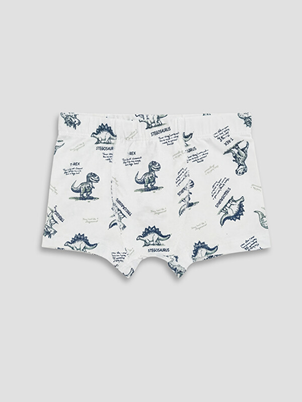 LCW Kids Erkek Çocuk Pamuklu Boxer