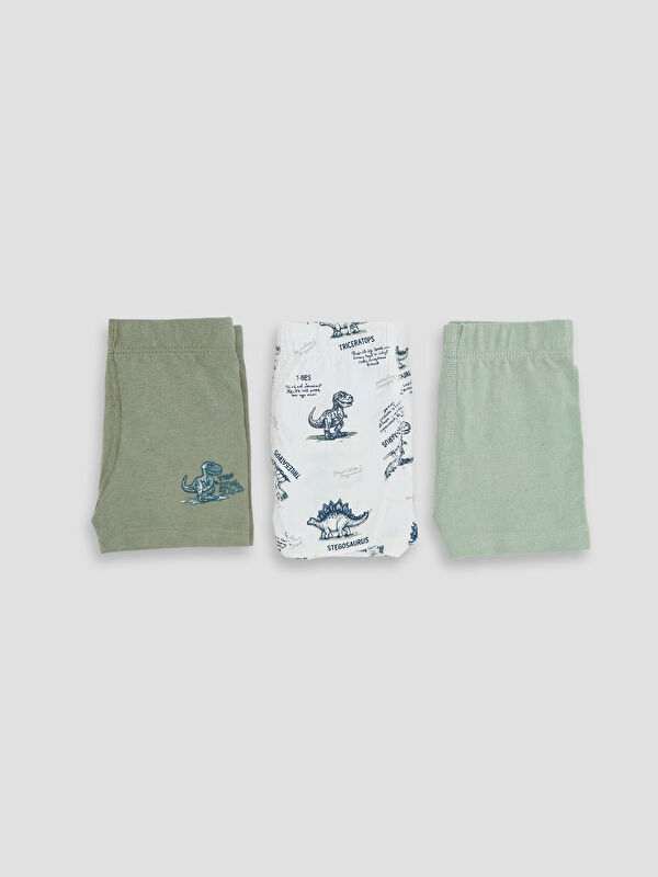 LCW Kids Erkek Çocuk 3'lü Boxer
