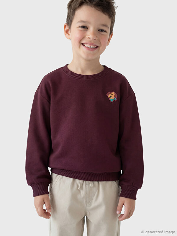 LCW Kids Bisiklet Yaka Nakışlı Erkek Çocuk Kalın Sweatshirt