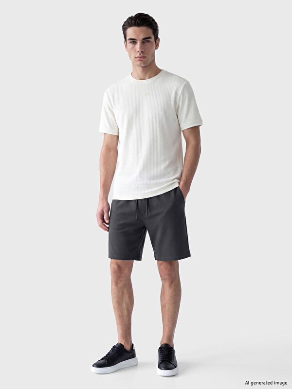 LCWAIKIKI Classic Shorts Homme Coupe Régulière
