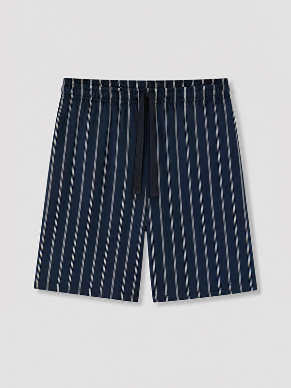 LC WAIKIKI Regular Fit Çizgili Erkek Şort