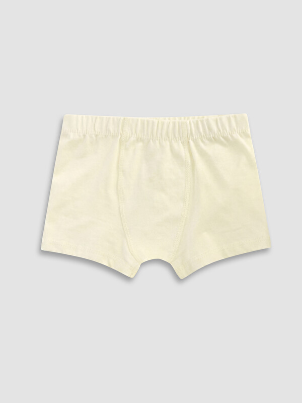 LCW Kids Erkek Çocuk Boxer