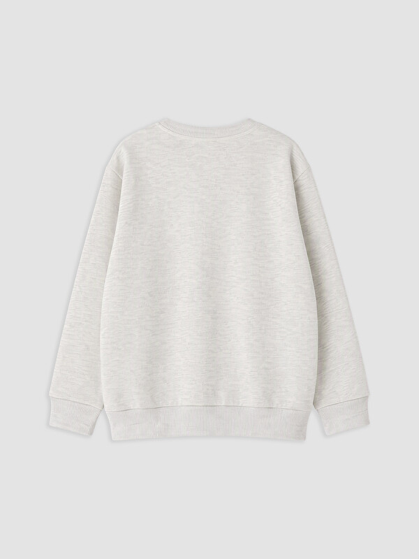 LCW Kids Lot de 2 sweat-shirts épais imprimés garçon