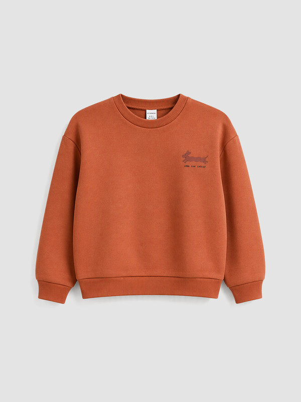 LCW Kids Boy Brown Sweatshirt
