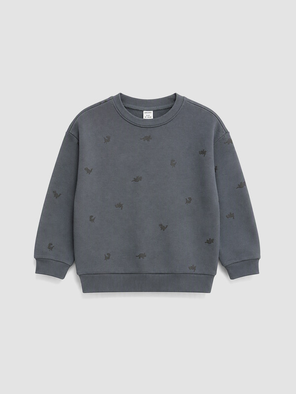 LCW Kids Printed Boys' Thick Sweatshirt