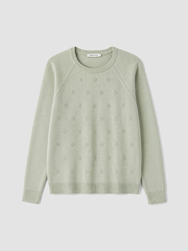 LCW EVERYDAY Crew Neck Embroidered Women's Knitwear Sweater