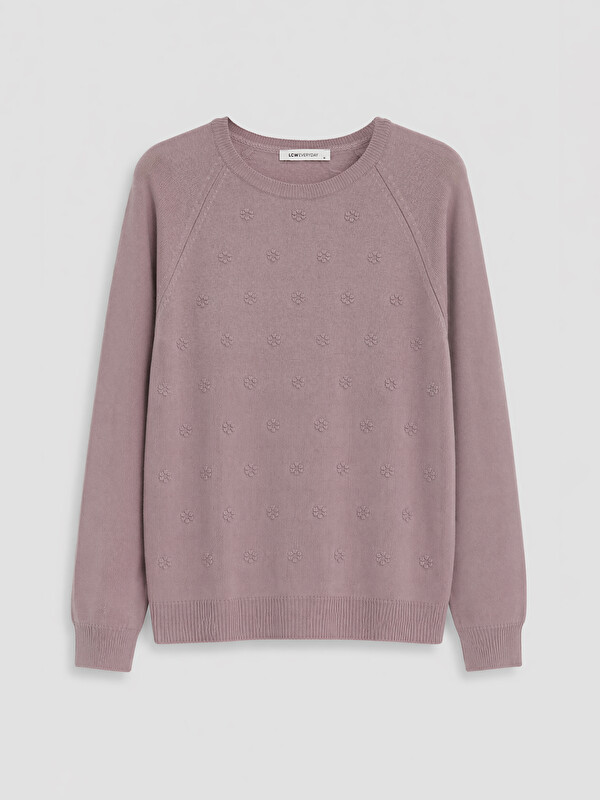 LCW EVERYDAY Crew Neck Embroidered Women's Knitwear Sweater
