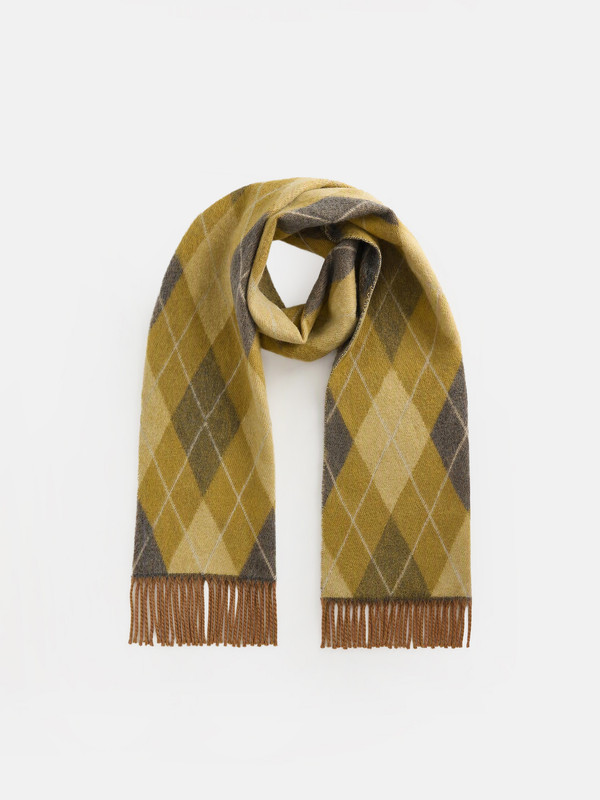 LCW ACCESSORIES Woman Khaki Scarf