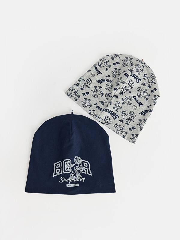 LC WAIKIKI Printed Boys' Beanie 2 Pack