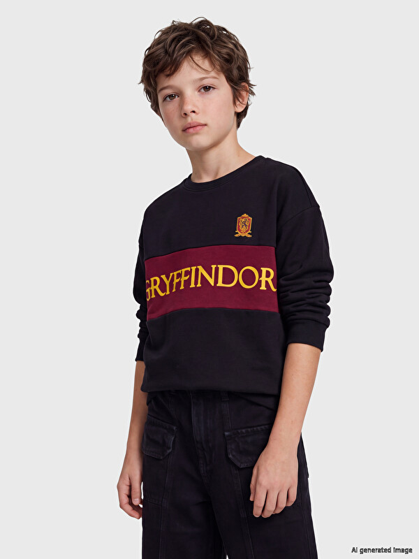 LCW Kids Harry Potter Erkek Çocuk Sweatshirt
