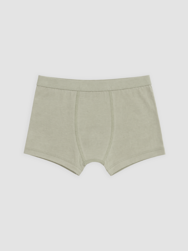 LCW Kids Erkek Çocuk Boxer
