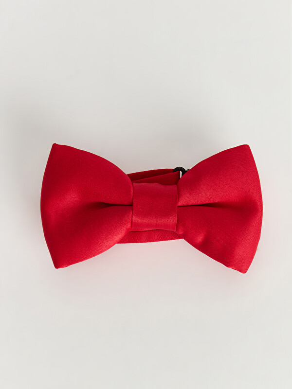 LCW ACCESSORIES Erkek Çocuk Papyon