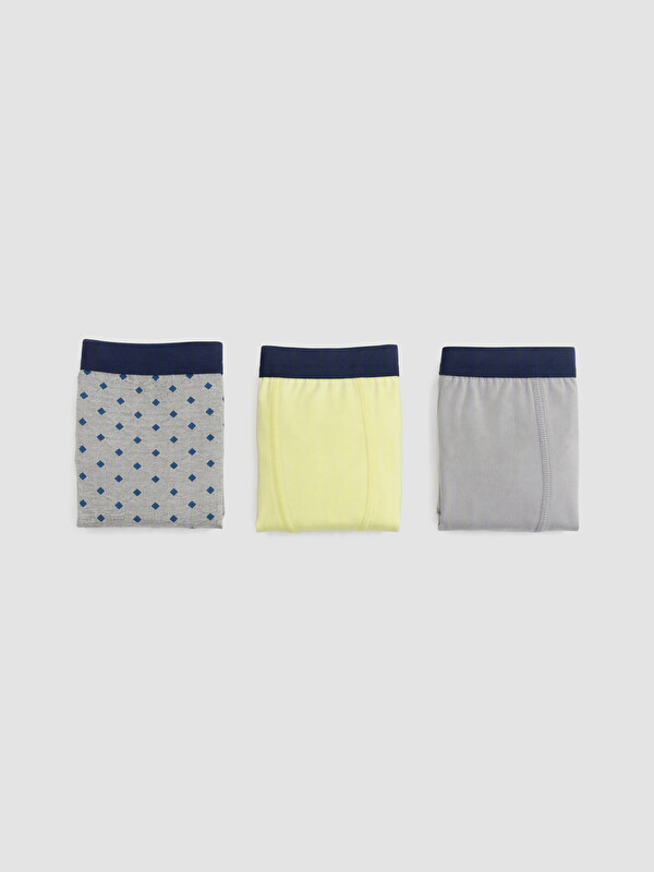 LC WAIKIKI Erkek Çocuk Boxer 3'lü