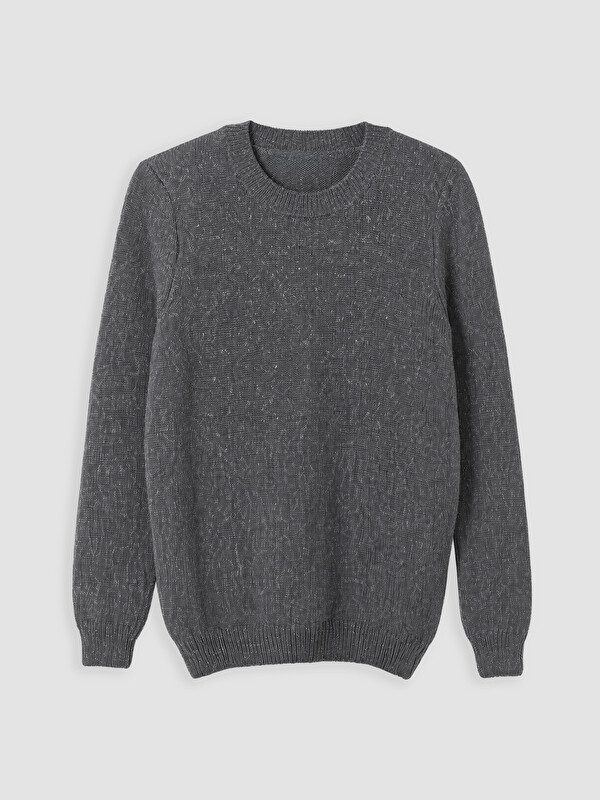 LC WAIKIKI Crew Neck Men's Knitwear Sweater