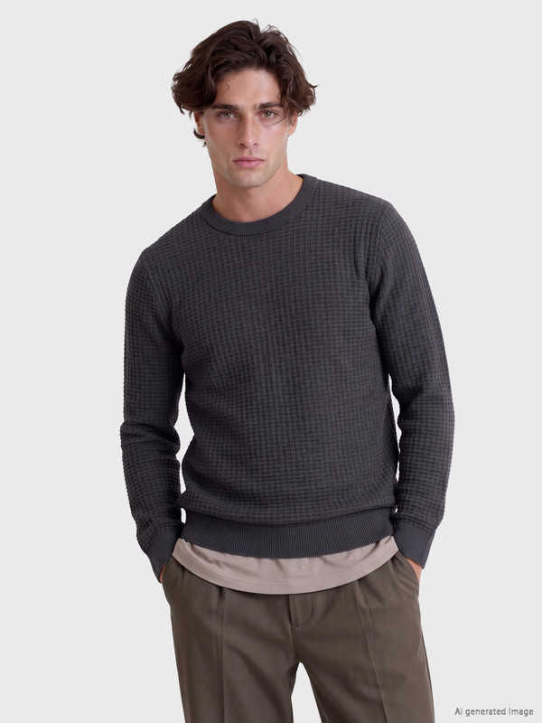 LCW Vision Crew Neck Men's Knitwear Sweater