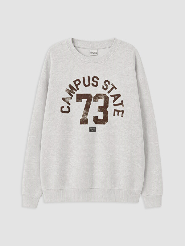 LCW Kids Boy Grey Sweatshirt