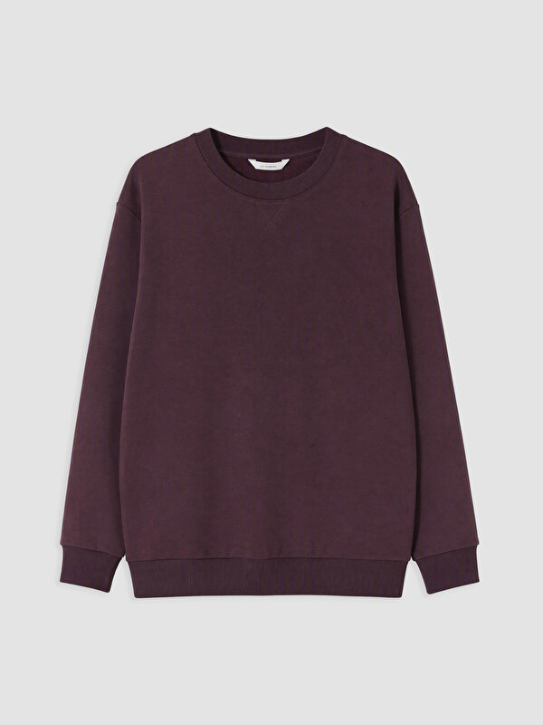 LC WAIKIKI Bisiklet Yaka Erkek Sweatshirt