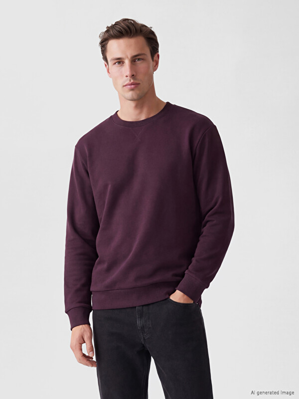 LC WAIKIKI Bisiklet Yaka Erkek Sweatshirt