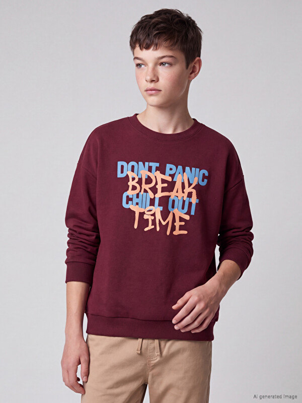 LCW Kids Printed Boys' Thick Sweatshirt
