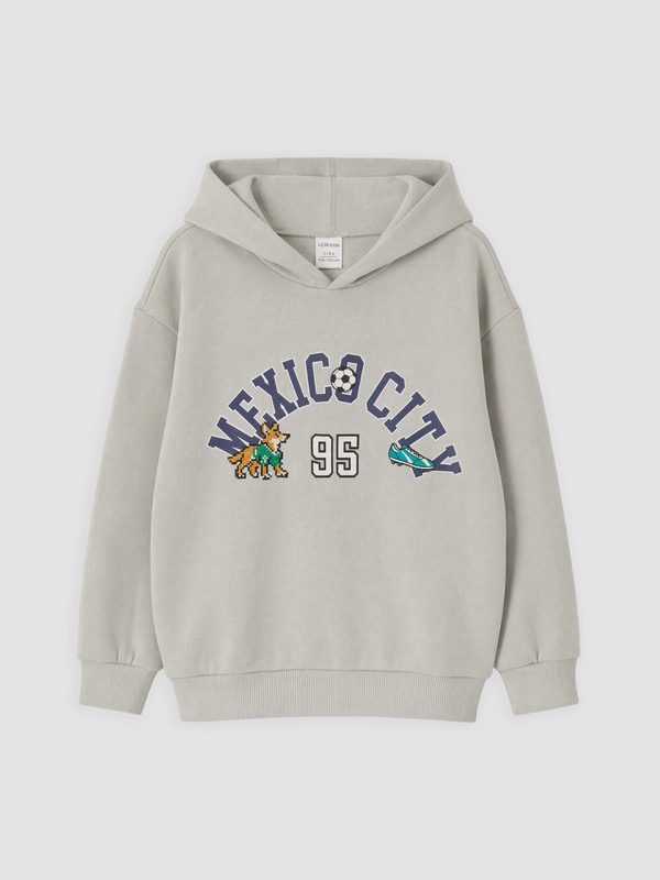 LCW Kids Boy Grey Sweatshirt