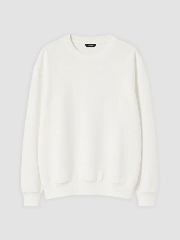LC WAIKIKI Bisiklet Yaka Erkek Sweatshirt