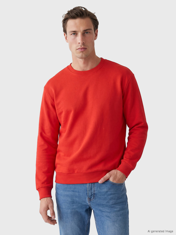 LC WAIKIKI Crew Neck Men's Thick Sweatshirt