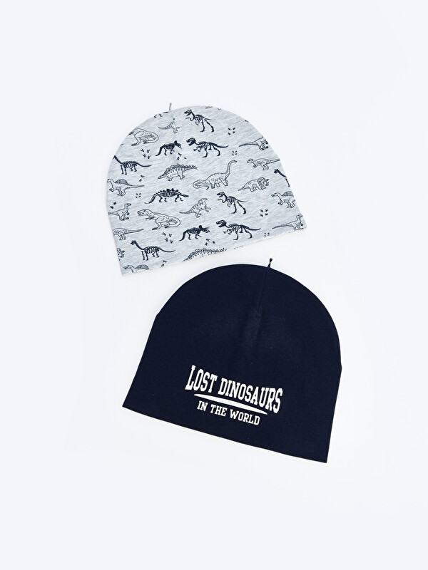 LCW ACCESSORIES Baskılı Erkek Çocuk Bere 2'li