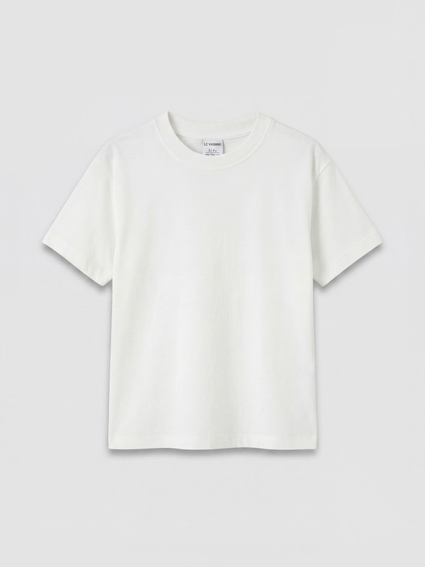LCW Kids Basic Erkek Çocuk Tişört