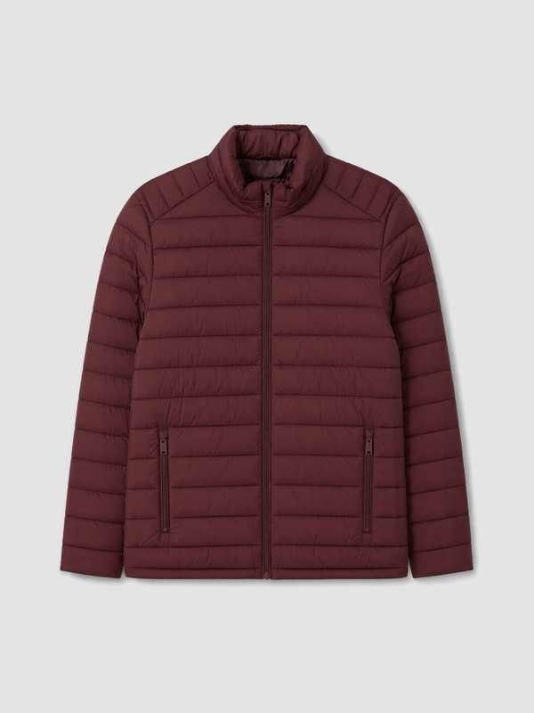 LCWAIKIKI Classic Regular Fit Erkek Şişme Mont