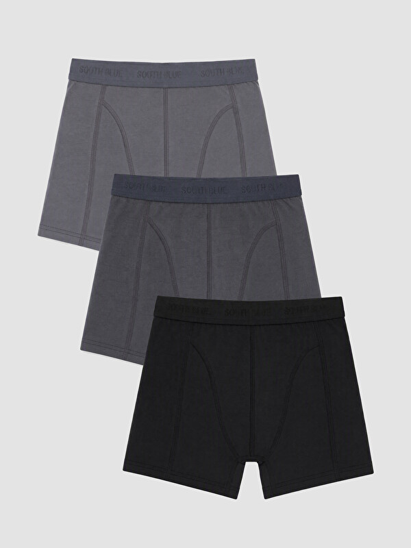 LC WAIKIKI Regular Fit Men's 3-pack Boxer