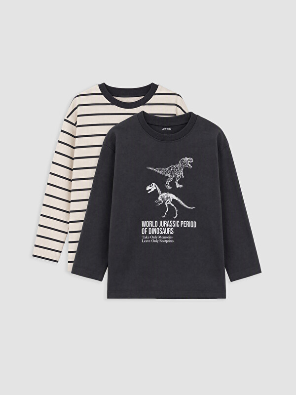 LCW Kids Crew Neck Printed Boys' 2 Pack T-Shirt