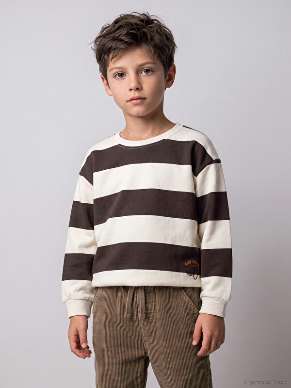 LCW Kids Striped Boys' Thick Sweatshirt