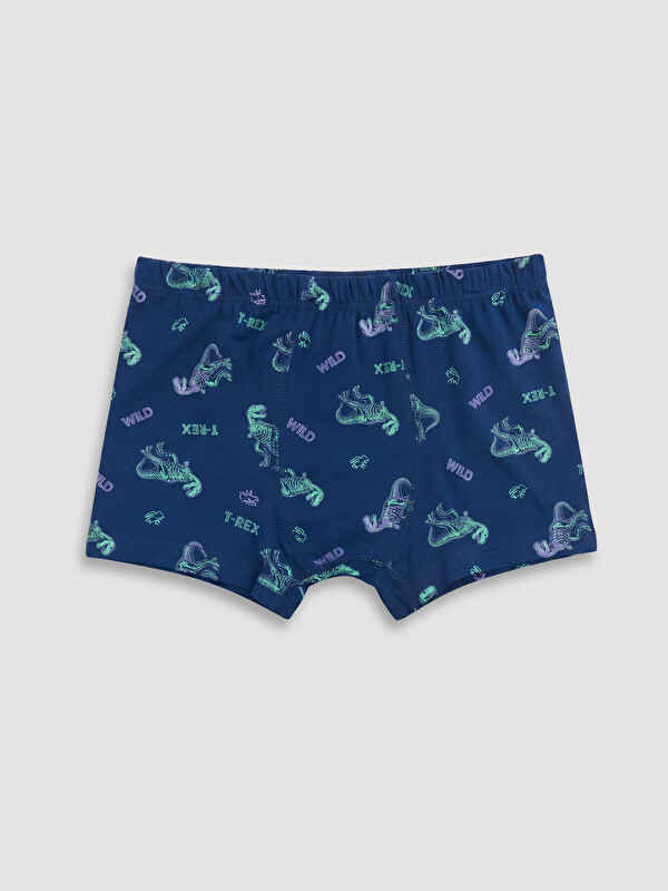 LCW Kids Erkek Çocuk Baskılı Boxer