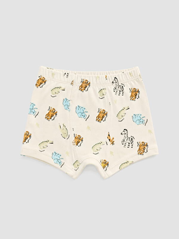 LCW Kids Erkek Çocuk Baskılı Boxer