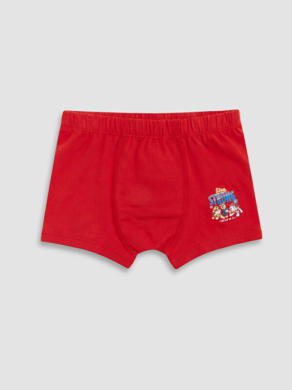 LCW Kids Paw Patrol Baskılı Erkek Çocuk Boxer