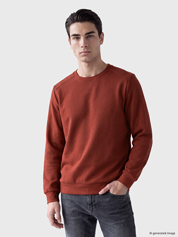 LCWAIKIKI Classic Man Brown Sweatshirt