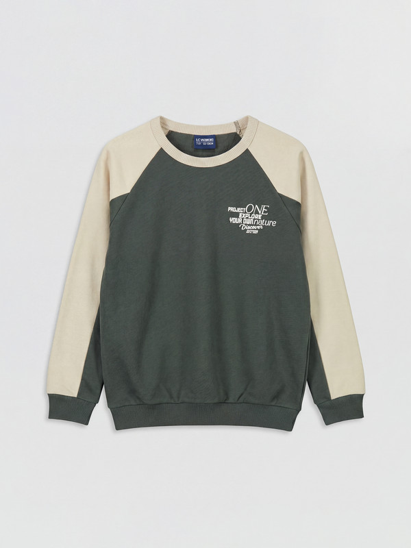 LCW Kids Baskılı Erkek Çocuk Kalın Sweatshirt