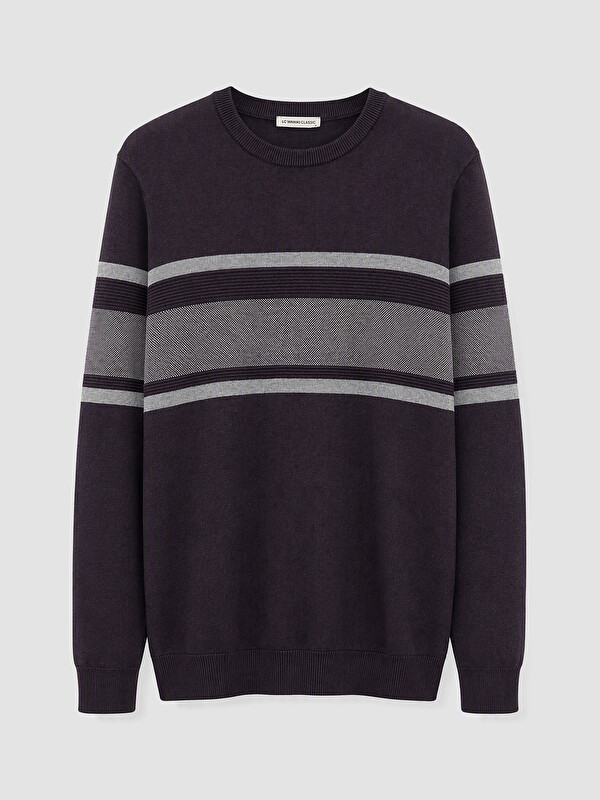 LCWAIKIKI Classic Man Purple Sweater